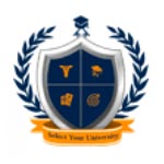 Overseas Education Consultant