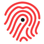 Penetration Testing Services