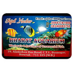Ornamental Fish