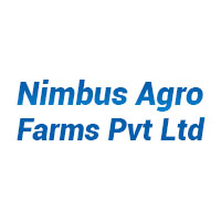 Real Estate Developers