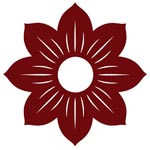 Women Designer Kurta