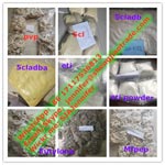 Hebei ShengJiAo Biotechnology Trading Co Ltd