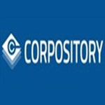 Indian Company Audit Report