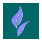 Baba Taraknath Furniture