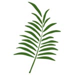 Designer Ethnic Kurtis