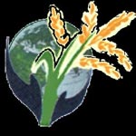 Greenhouse or Polyhouse