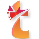 Website Development Services