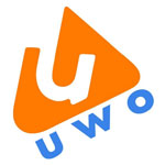 Website Audit Service