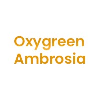 Builders & Developers