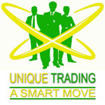 Electric Vehicle Battery