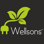 WELLSONS GROUP
