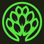 Oyster Mushroom Pickle