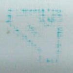 Two Wheeler Seat Cover