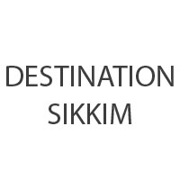 Airline Ticketing Agents