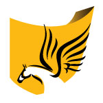 Ecommerce Web Site Design