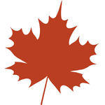 HAND PAINTED 3 TIER TIFFIN CARRIER