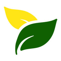 RSI Rajshree International Private Limited