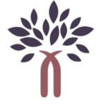 Document Translation Services