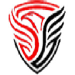 Commercial Security Services