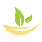 Trust Ayurveda Shampoo