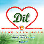 Shree ENTERPRISES LTD