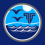 Mild Steel Concrete Nail