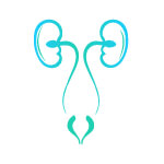 Urogenital Cancer Surgery