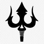 Fruit Juicer Machine