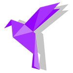 Web Development Services