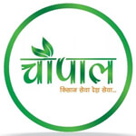 Red Lady Taiwan Seeds