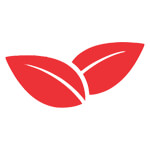 Stock Market Training