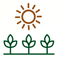 Property Consultants