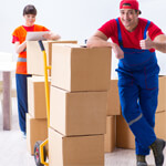 Ayansh Logistics Packers and Movers