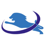 Digital Marketing Services