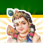 Semi Husked Coconuts