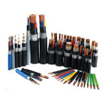 Punjab Cable & Wire Traders