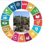 ACS.NT-A COMPLETE SOLUTION WITHOUT TENSION