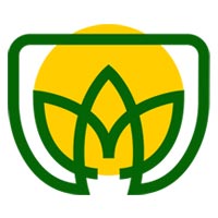 Yograj Guggul Powder