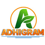 Semi Husked Coconuts