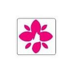 Dermatology Equipment