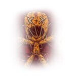 Love Marriage Specialist