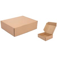 Paper Carton