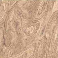 Polished Porcelain Tiles