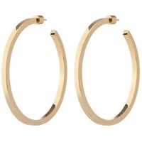 Brass Earrings