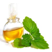 Patchouli Oil