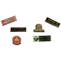 Brass Badges
