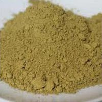 Cassia Tora Powder