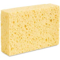 Cellulose Sponge
