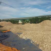 Cloth Clips / Cloth Pegs / Clothespin