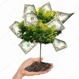 Business Finance Consultants